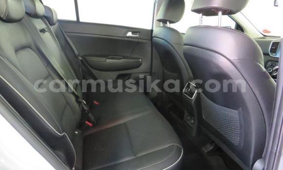 Tenga Tsaru Kia Sportage Chena Mota in Bulawayo in Bulawayo Tenga Tsaru Kia Sportage Chena Mota in Bulawayo in Bulawayo