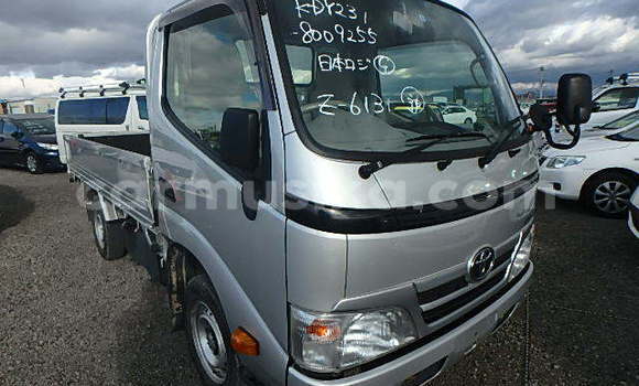 Tenga Tsaru Toyota Dyna Sirivha Mota in Beitbridge in Matabeleland South