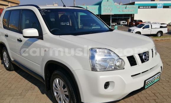 Acheter Occasion Voiture Nissan X–Trail Autre à Beitbridge, Matabeleland South Acheter Occasion Voiture Nissan X–Trail Autre à Beitbridge, Matabeleland South