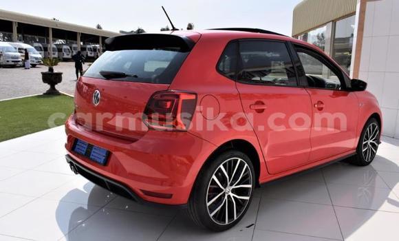 Buy Used Volkswagen Polo GTI Red Car in Beitbridge in Matabeleland South Buy Used Volkswagen Polo GTI Red Car in Beitbridge in Matabeleland South