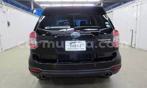 Acheter Occasion Voiture Subaru Forester Bleu à Beitbridge, Matabeleland South Acheter Occasion Voiture Subaru Forester Bleu à Beitbridge, Matabeleland South