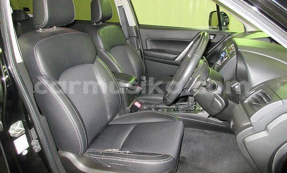 Acheter Occasion Voiture Subaru Forester Bleu à Beitbridge, Matabeleland South Acheter Occasion Voiture Subaru Forester Bleu à Beitbridge, Matabeleland South