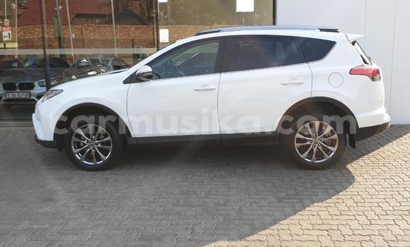 Nunua Ilio tumika Toyota RAV4 Nyeupe Gari ndani ya Harare nchini Harare Nunua Ilio tumika Toyota RAV4 Nyeupe Gari ndani ya Harare nchini Harare