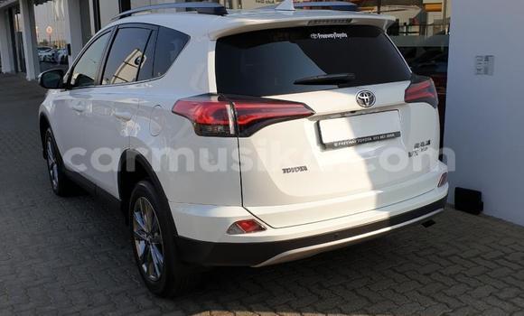 Nunua Ilio tumika Toyota RAV4 Nyeupe Gari ndani ya Harare nchini Harare Nunua Ilio tumika Toyota RAV4 Nyeupe Gari ndani ya Harare nchini Harare
