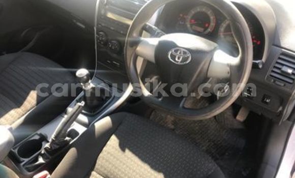 Acheter Occasion Voiture Toyota Corolla Blanc à Beitbridge, Matabeleland South