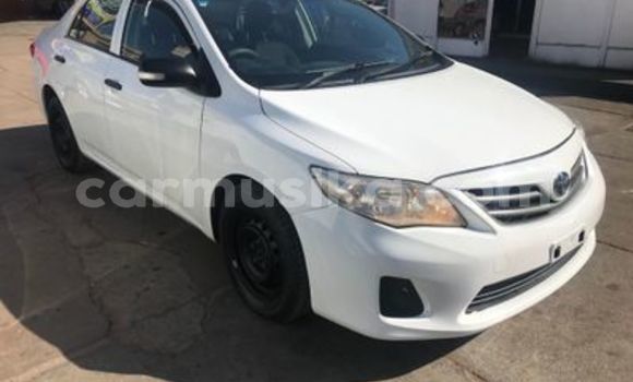 Buy Used Toyota Corolla White Car in Beitbridge in Matabeleland South Buy Used Toyota Corolla White Car in Beitbridge in Matabeleland South