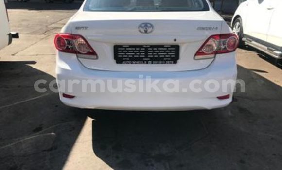 Buy Used Toyota Corolla White Car in Beitbridge in Matabeleland South Buy Used Toyota Corolla White Car in Beitbridge in Matabeleland South