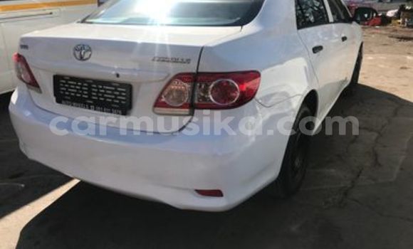 Buy Used Toyota Corolla White Car in Beitbridge in Matabeleland South Buy Used Toyota Corolla White Car in Beitbridge in Matabeleland South