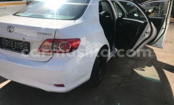 Buy Used Toyota Corolla White Car in Beitbridge in Matabeleland South Buy Used Toyota Corolla White Car in Beitbridge in Matabeleland South