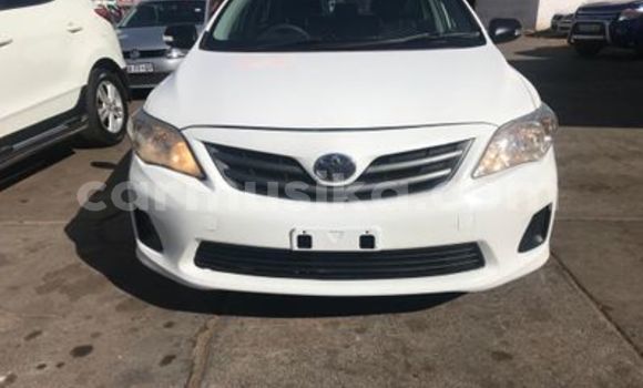 Buy Used Toyota Corolla White Car in Beitbridge in Matabeleland South Buy Used Toyota Corolla White Car in Beitbridge in Matabeleland South