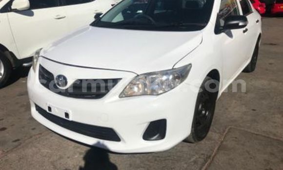 Buy Used Toyota Corolla White Car in Beitbridge in Matabeleland South Buy Used Toyota Corolla White Car in Beitbridge in Matabeleland South
