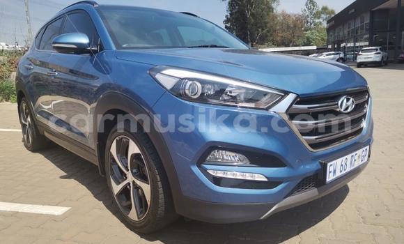 Tenga Tsaru Hyundai Tucson Chena Mota in Beitbridge in Matabeleland South Tenga Tsaru Hyundai Tucson Chena Mota in Beitbridge in Matabeleland South
