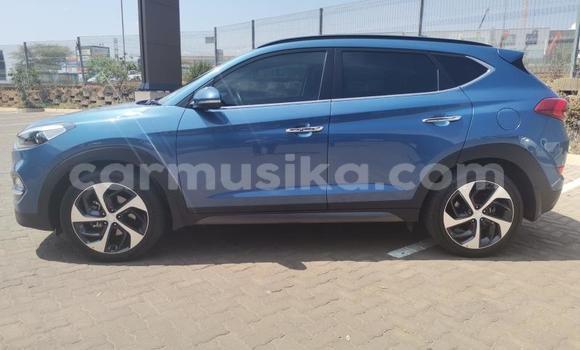 Acheter Occasion Voiture Hyundai Tucson Blanc à Beitbridge, Matabeleland South Acheter Occasion Voiture Hyundai Tucson Blanc à Beitbridge, Matabeleland South