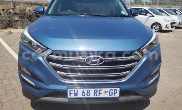 Acheter Occasion Voiture Hyundai Tucson Blanc à Beitbridge, Matabeleland South Acheter Occasion Voiture Hyundai Tucson Blanc à Beitbridge, Matabeleland South