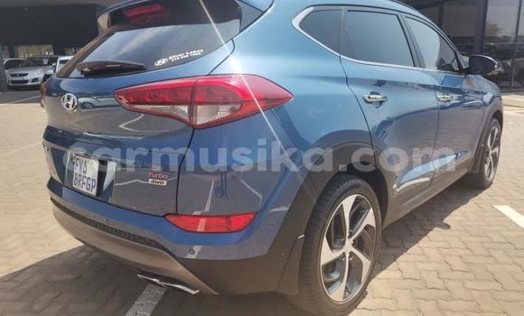 Acheter Occasion Voiture Hyundai Tucson Blanc à Beitbridge, Matabeleland South Acheter Occasion Voiture Hyundai Tucson Blanc à Beitbridge, Matabeleland South