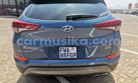 Acheter Occasion Voiture Hyundai Tucson Blanc à Beitbridge, Matabeleland South Acheter Occasion Voiture Hyundai Tucson Blanc à Beitbridge, Matabeleland South