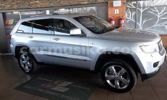 Tenga Tsaru Jeep Grand Cherokee Sirivha Mota in Bulawayo in Bulawayo Tenga Tsaru Jeep Grand Cherokee Sirivha Mota in Bulawayo in Bulawayo