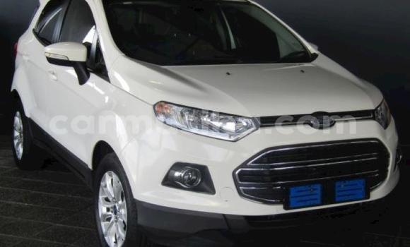 Tenga Tsaru Ford EcoSport Chena Mota in Harare in Harare Tenga Tsaru Ford EcoSport Chena Mota in Harare in Harare