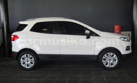 Tenga Tsaru Ford EcoSport Chena Mota in Harare in Harare Tenga Tsaru Ford EcoSport Chena Mota in Harare in Harare