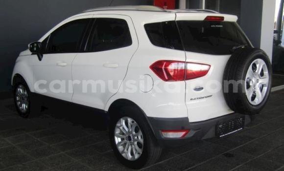 Tenga Tsaru Ford EcoSport Chena Mota in Harare in Harare Tenga Tsaru Ford EcoSport Chena Mota in Harare in Harare