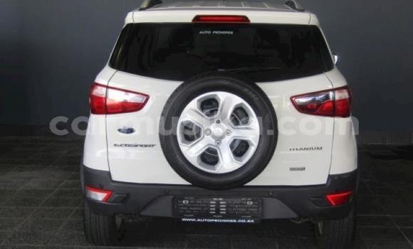 Tenga Tsaru Ford EcoSport Chena Mota in Harare in Harare Tenga Tsaru Ford EcoSport Chena Mota in Harare in Harare