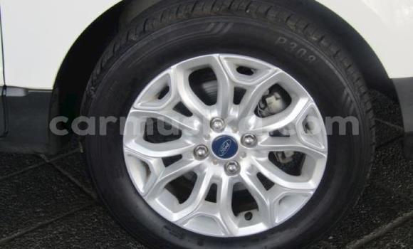 Tenga Tsaru Ford EcoSport Chena Mota in Harare in Harare Tenga Tsaru Ford EcoSport Chena Mota in Harare in Harare