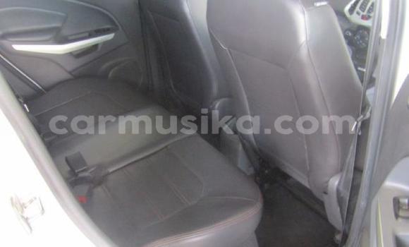 Tenga Tsaru Ford EcoSport Chena Mota in Harare in Harare Tenga Tsaru Ford EcoSport Chena Mota in Harare in Harare