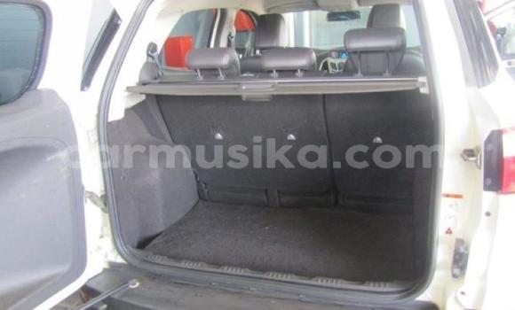 Tenga Tsaru Ford EcoSport Chena Mota in Harare in Harare Tenga Tsaru Ford EcoSport Chena Mota in Harare in Harare