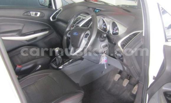 Tenga Tsaru Ford EcoSport Chena Mota in Harare in Harare Tenga Tsaru Ford EcoSport Chena Mota in Harare in Harare