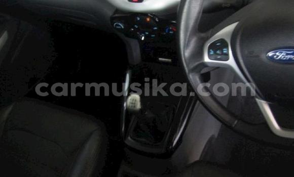 Tenga Tsaru Ford EcoSport Chena Mota in Harare in Harare Tenga Tsaru Ford EcoSport Chena Mota in Harare in Harare