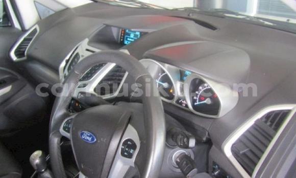 Tenga Tsaru Ford EcoSport Chena Mota in Harare in Harare Tenga Tsaru Ford EcoSport Chena Mota in Harare in Harare