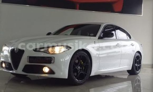 Buy Used Alfa Romeo Giulia White Car in Beitbridge in Matabeleland South Buy Used Alfa Romeo Giulia White Car in Beitbridge in Matabeleland South