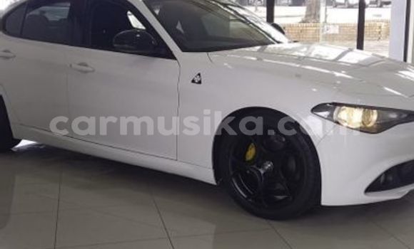 Buy Used Alfa Romeo Giulia White Car in Beitbridge in Matabeleland South Buy Used Alfa Romeo Giulia White Car in Beitbridge in Matabeleland South