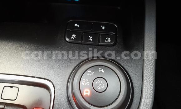 Nunua Ilio tumika Ford Everest Nyeupe Gari ndani ya Harare nchini Harare Nunua Ilio tumika Ford Everest Nyeupe Gari ndani ya Harare nchini Harare