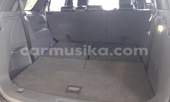 Nunua Ilio tumika Ford Everest Nyeupe Gari ndani ya Harare nchini Harare Nunua Ilio tumika Ford Everest Nyeupe Gari ndani ya Harare nchini Harare