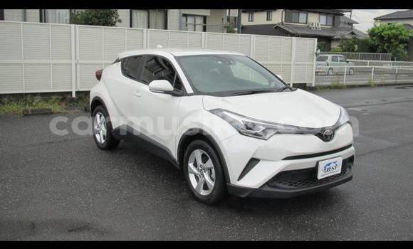 Acheter Occasion Voiture Toyota C-HR Blanc à Beitbridge, Matabeleland South Acheter Occasion Voiture Toyota C-HR Blanc à Beitbridge, Matabeleland South