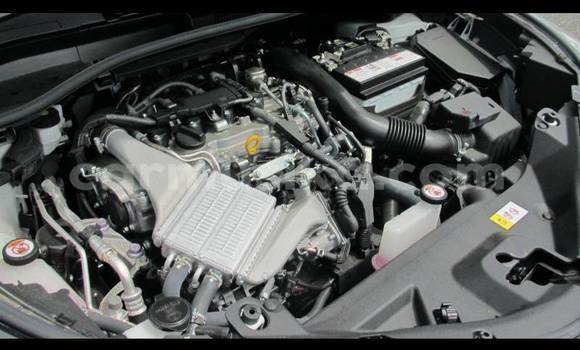 Tenga Tsaru Toyota C-HR Chena Mota in Beitbridge in Matabeleland South Tenga Tsaru Toyota C-HR Chena Mota in Beitbridge in Matabeleland South