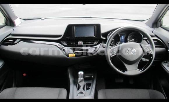 Tenga Tsaru Toyota C-HR Chena Mota in Beitbridge in Matabeleland South Tenga Tsaru Toyota C-HR Chena Mota in Beitbridge in Matabeleland South