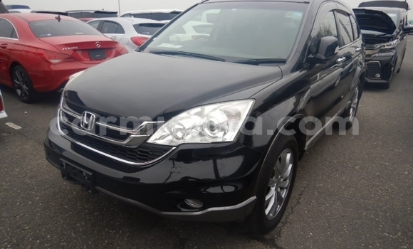 Buy Used Honda CR–V Black Car in Beitbridge in Matabeleland South