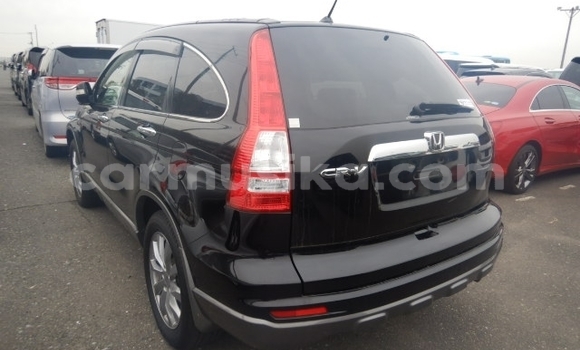 Acheter Occasion Voiture Honda CR–V Noir à Beitbridge, Matabeleland South Acheter Occasion Voiture Honda CR–V Noir à Beitbridge, Matabeleland South