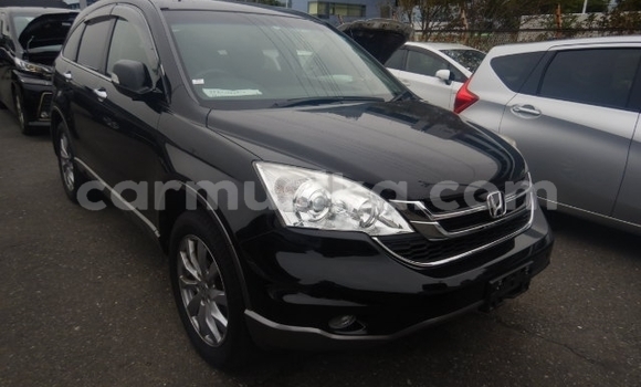 Acheter Occasion Voiture Honda CR–V Noir à Beitbridge, Matabeleland South Acheter Occasion Voiture Honda CR–V Noir à Beitbridge, Matabeleland South