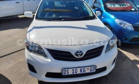 Buy Used Toyota Corolla White Car in Beitbridge in Matabeleland South