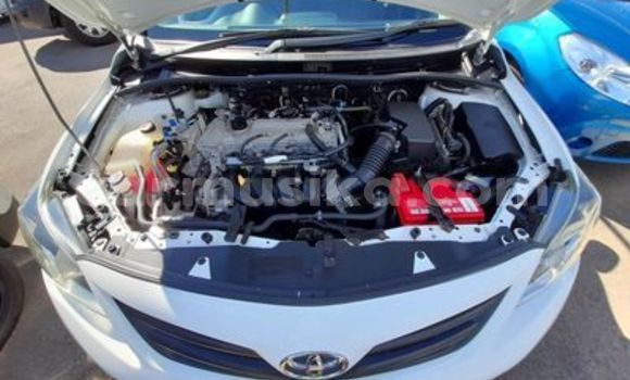 Nunua Ilio tumika Toyota Corolla Nyeupe Gari ndani ya Beitbridge nchini Matabeleland Kusini Nunua Ilio tumika Toyota Corolla Nyeupe Gari ndani ya Beitbridge nchini Matabeleland Kusini