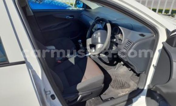 Nunua Ilio tumika Toyota Corolla Nyeupe Gari ndani ya Beitbridge nchini Matabeleland Kusini Nunua Ilio tumika Toyota Corolla Nyeupe Gari ndani ya Beitbridge nchini Matabeleland Kusini