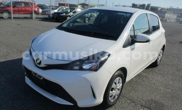 Buy Used Toyota Vitz White Car in Beitbridge in Matabeleland South