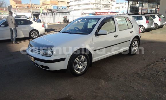 Tenga Tsaru Volkswagen Golf Chena Mota in Beitbridge in Matabeleland South