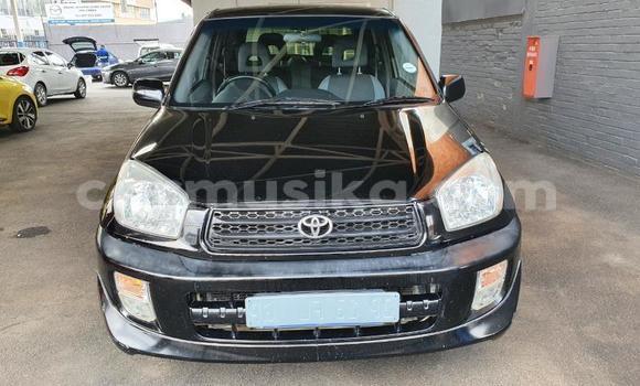 Buy Used Toyota RAV4 Black Car in Beitbridge in Matabeleland South