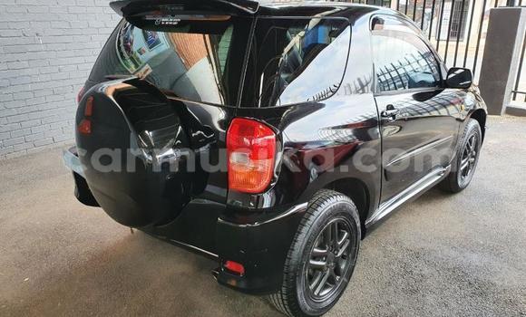 Acheter Occasion Voiture Toyota RAV4 Noir à Beitbridge, Matabeleland South Acheter Occasion Voiture Toyota RAV4 Noir à Beitbridge, Matabeleland South