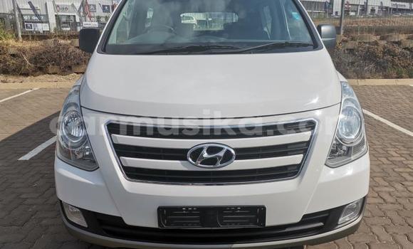 Acheter Occasion Voiture Hyundai H1 Blanc à Beitbridge, Matabeleland South Acheter Occasion Voiture Hyundai H1 Blanc à Beitbridge, Matabeleland South