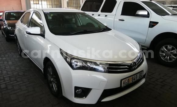 Tenga Tsaru Toyota Corolla Chena Mota in Beitbridge in Matabeleland South Tenga Tsaru Toyota Corolla Chena Mota in Beitbridge in Matabeleland South